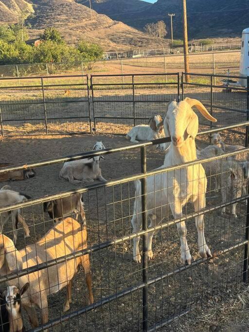 Holiday home Peaceful & Cozy 3 Bedroom Ranch-home W/fireplace